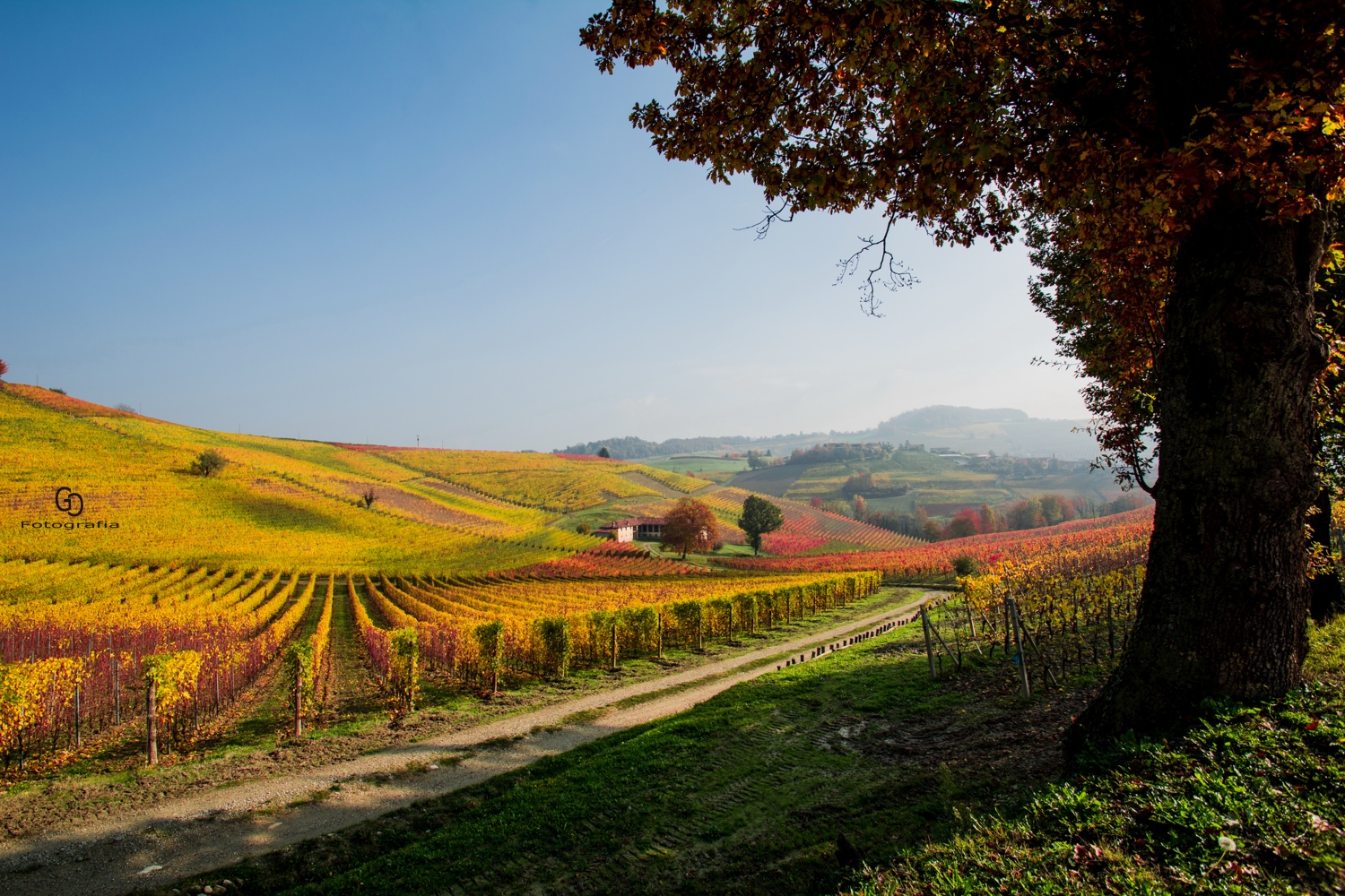 Barolo, terre dipinte