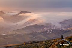 Barolo ümhüllt von Nebeschwaden