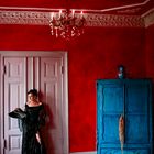 Baroness In The Red Room With The Blue Cabinet