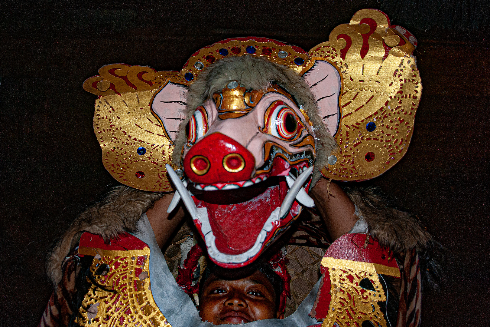 Barong dance in Desa Sembung