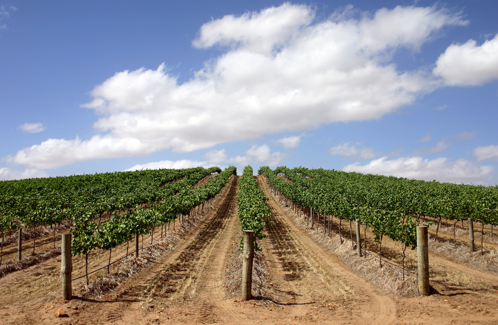 Barossa Valley