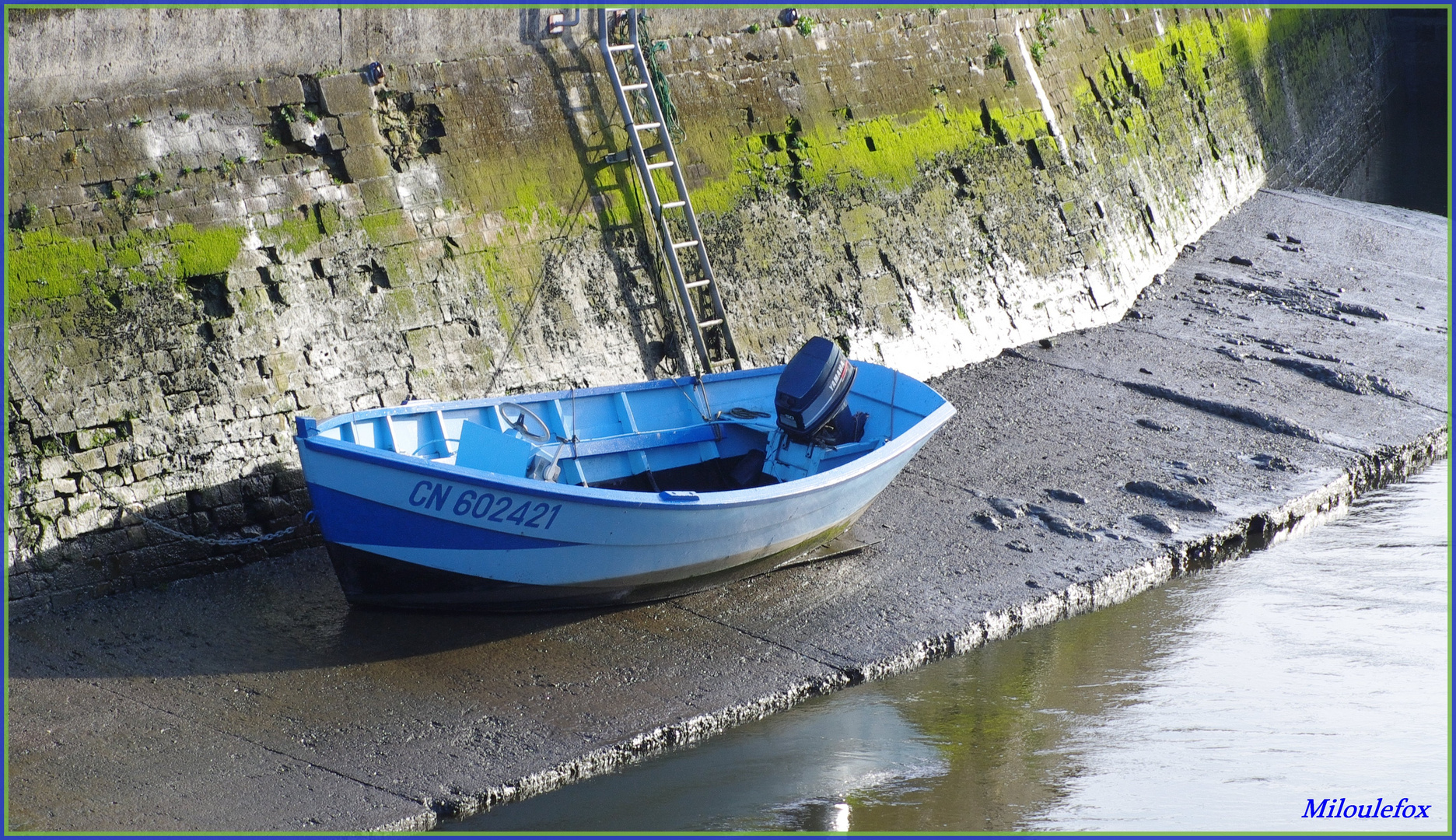 Barque à Isigny sur mer