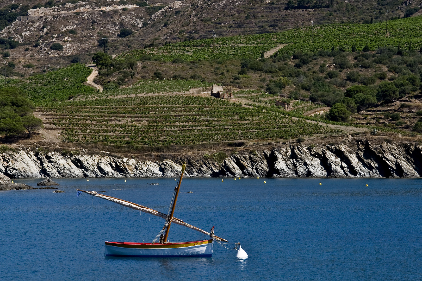 Barque catalane