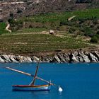 Barque catalane