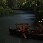 barque de léo en automne