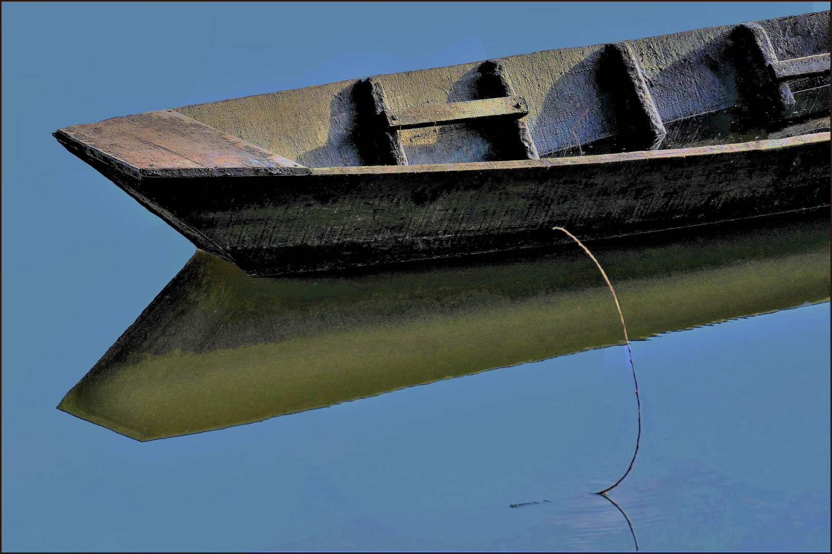 barque solitaire .....au marécage...