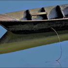 barque solitaire .....au marécage...