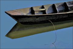 barque solitaire .....au marécage...