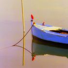 Barque sur l'étang de Theau