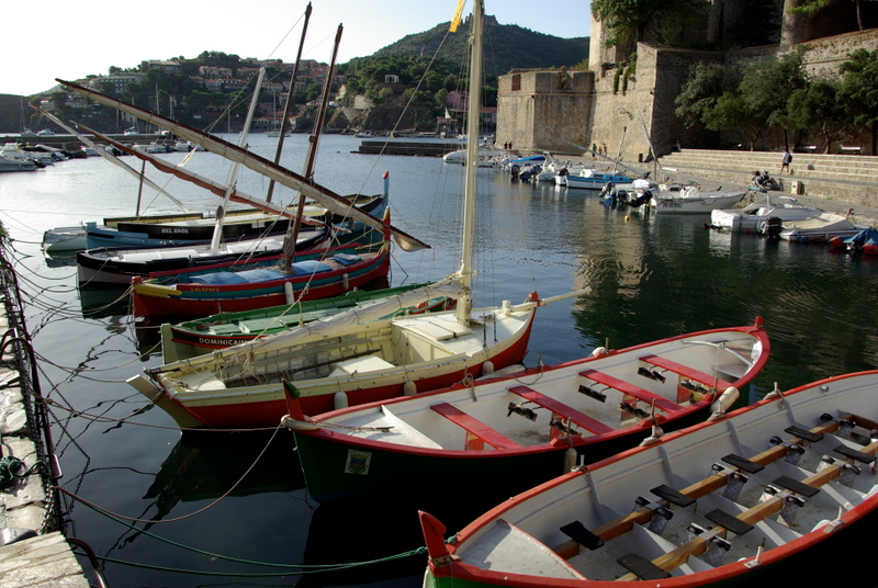 BARQUES à COLLIOURE