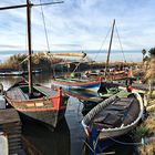 Barques à voile