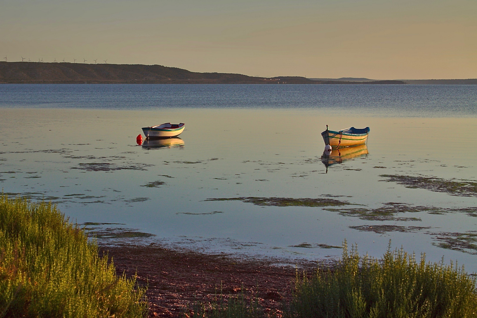 barques au mouillage.