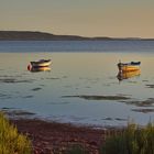 barques au mouillage.