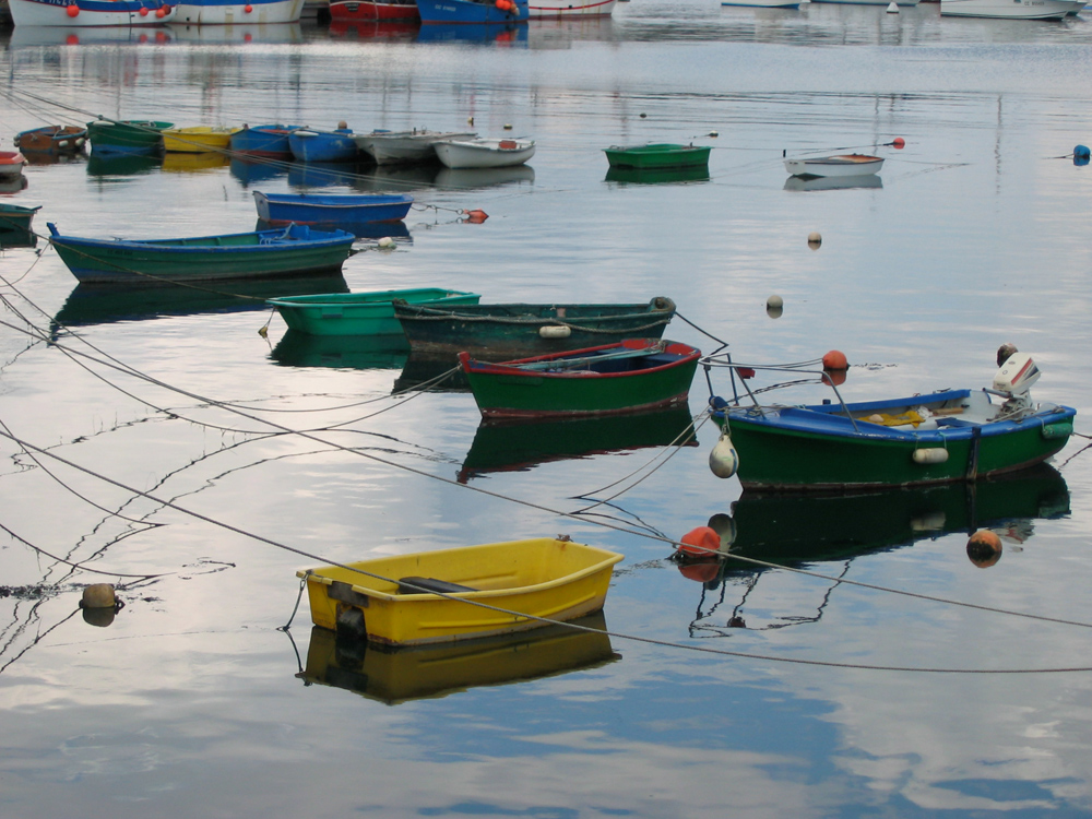 Barques au port