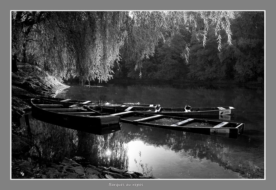 Barques au repos