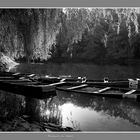 Barques au repos