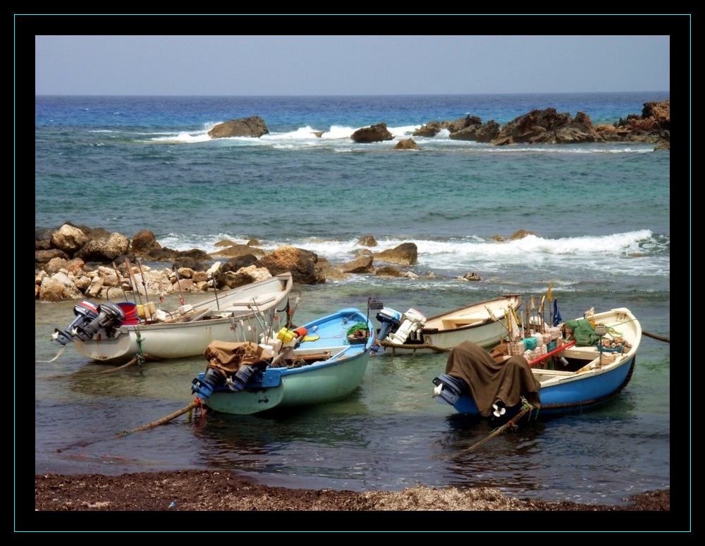 barques colorées