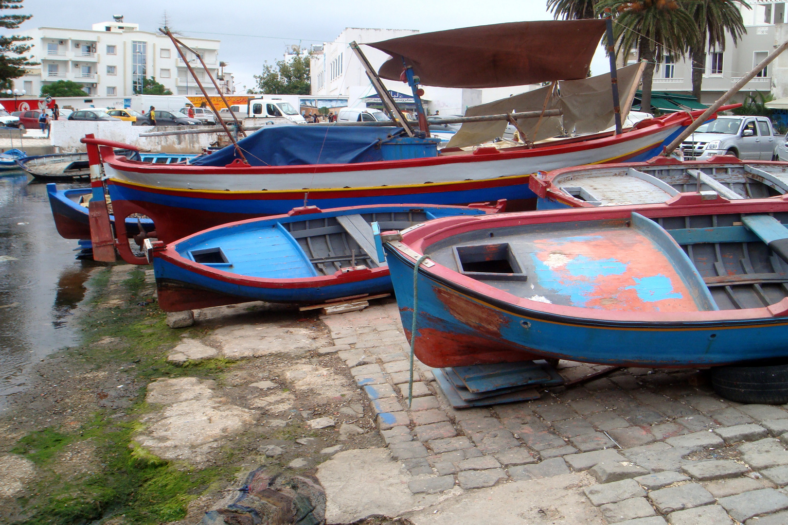 Barques colorées dans le port de Bizerte