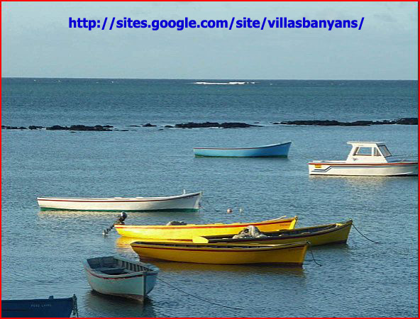 Barques de pêcheurs à Grand Gaube/Ile Maurice