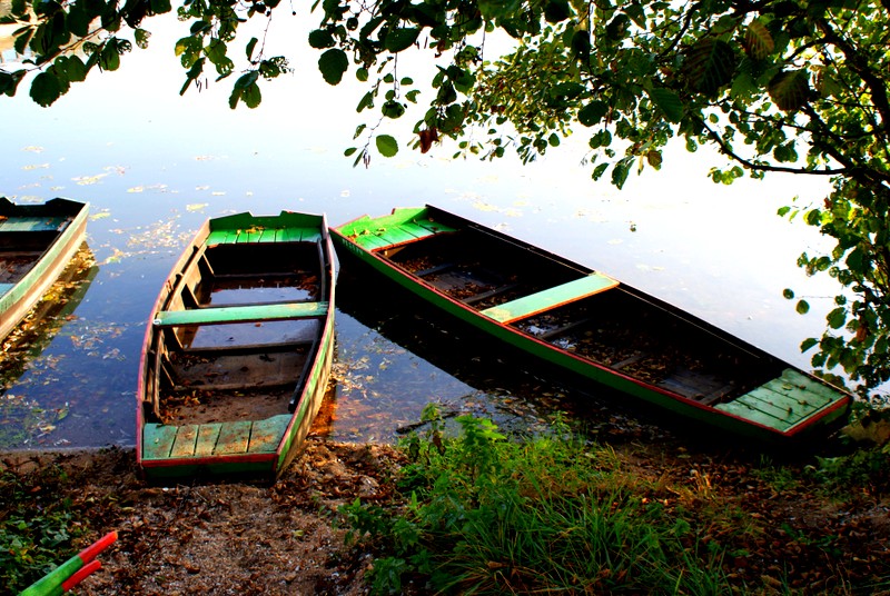 Barques de soing