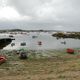 BARQUITAS EN AROUSA