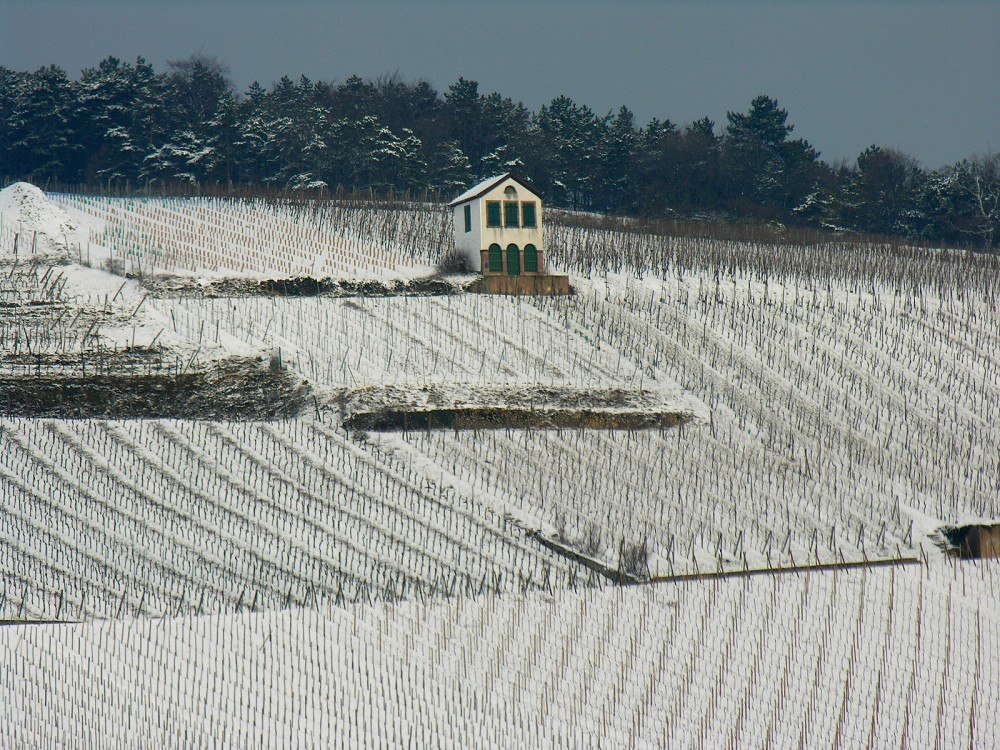 Barr, letztes Winter. Das Mairehiesel auf den Kirchberg