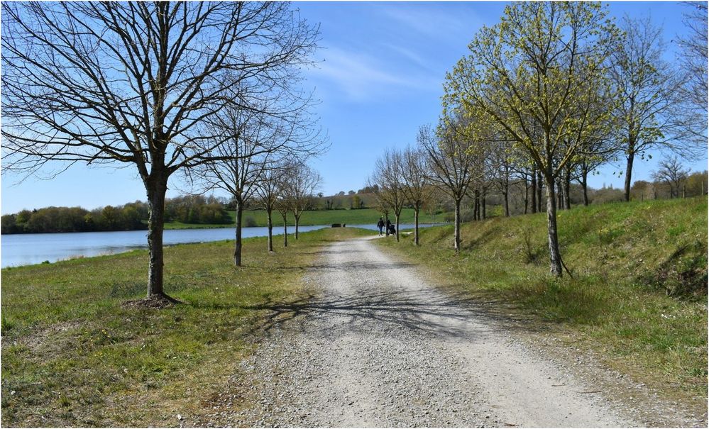 barrage de la haute vilaine