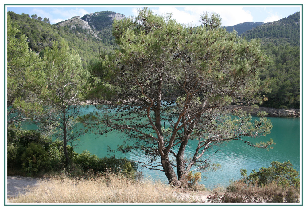 Barrage de la SENIA (espagne)