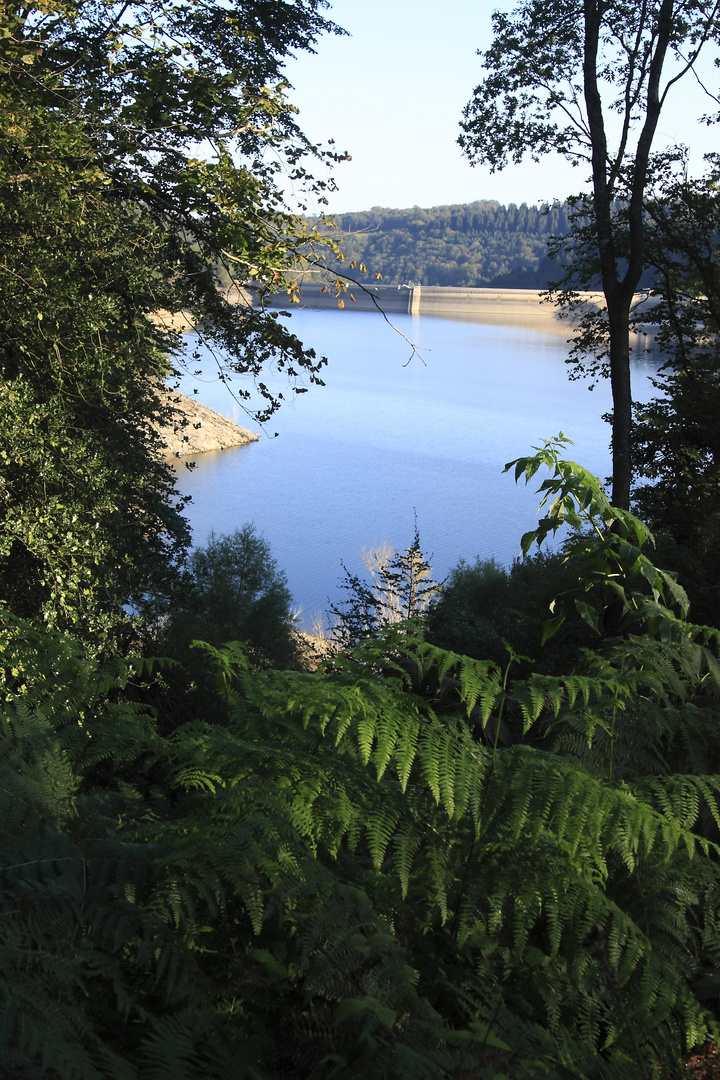 Barrage des Camazes