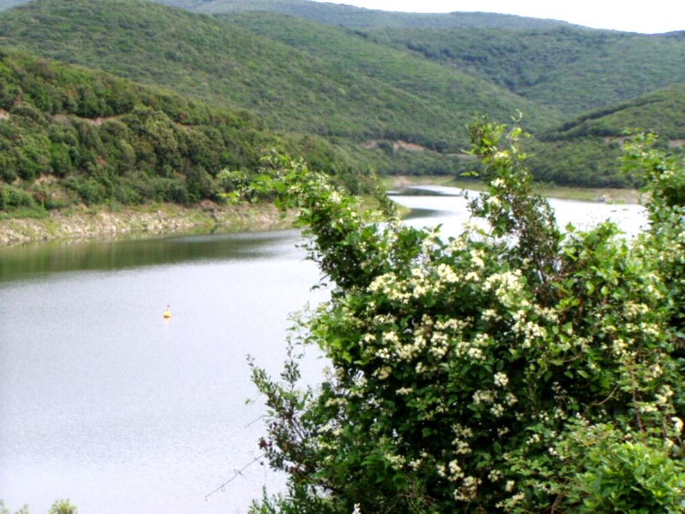 barrage des olivettes