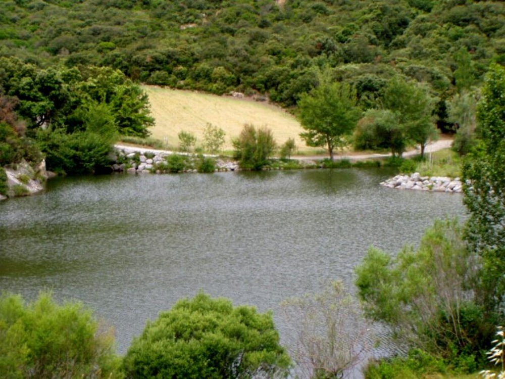 barrage des olivettes2