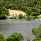 barrage des olivettes2