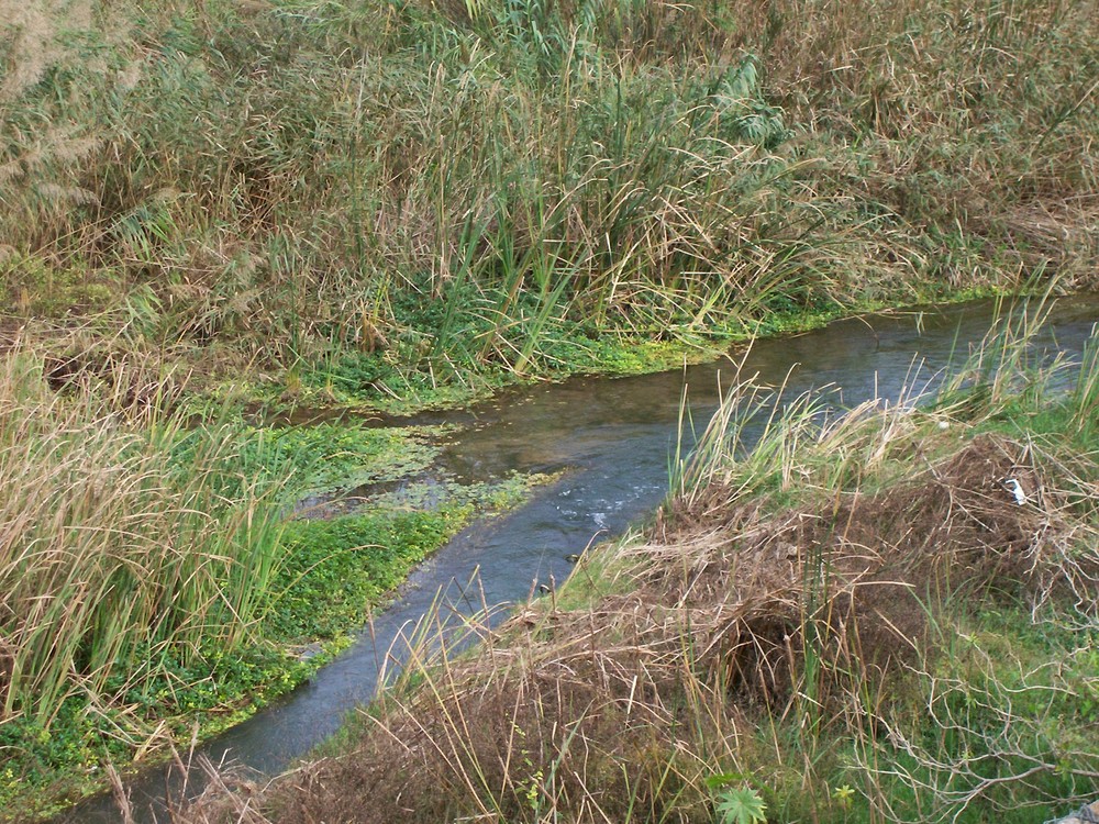 Barranc de Carraixet, ALBORAYA, Valencia, Spain