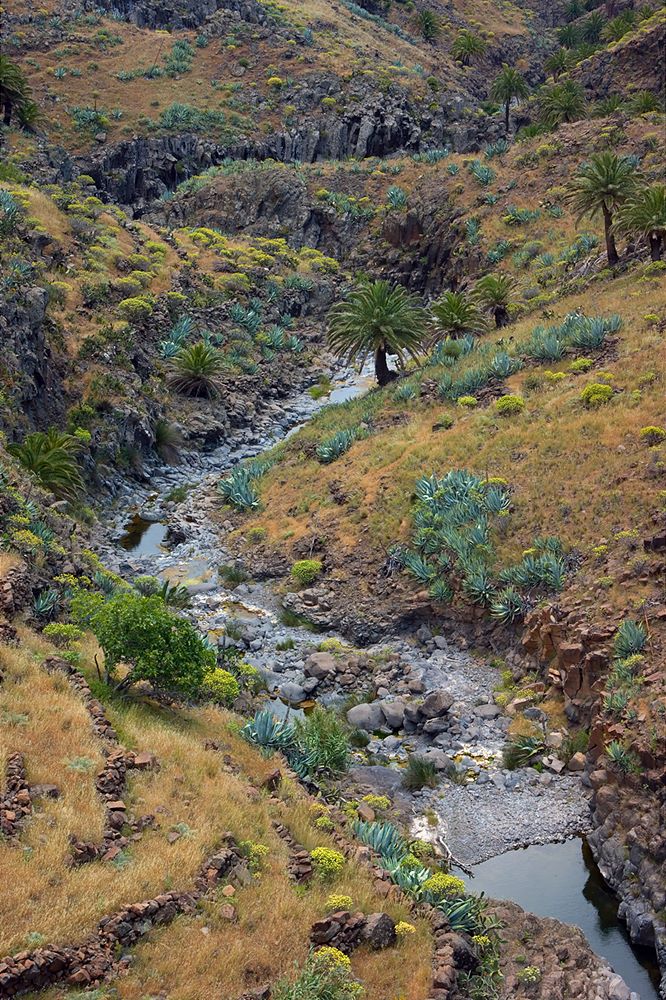 Barranco Argaga