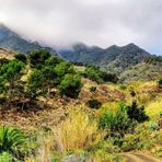 Barranco Cañada la Barraca - La Gomera