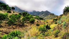 Barranco Cañada la Barraca - La Gomera