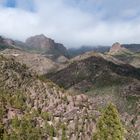 Barranco de Ayacata / Gran Canaria