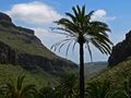 Gran Canaria