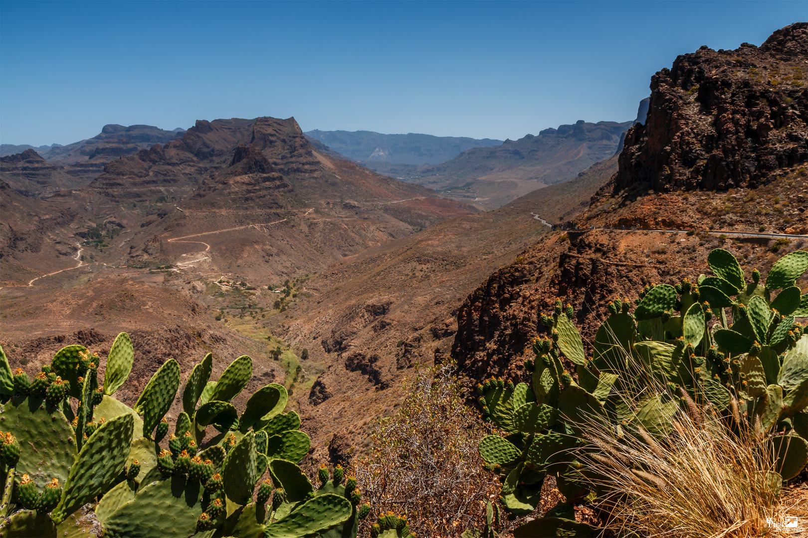 Barranco de Fataga - Kanaren867