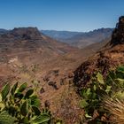 Barranco de Fataga - Kanaren867