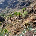 Barranco de Guarimar - La Gomera