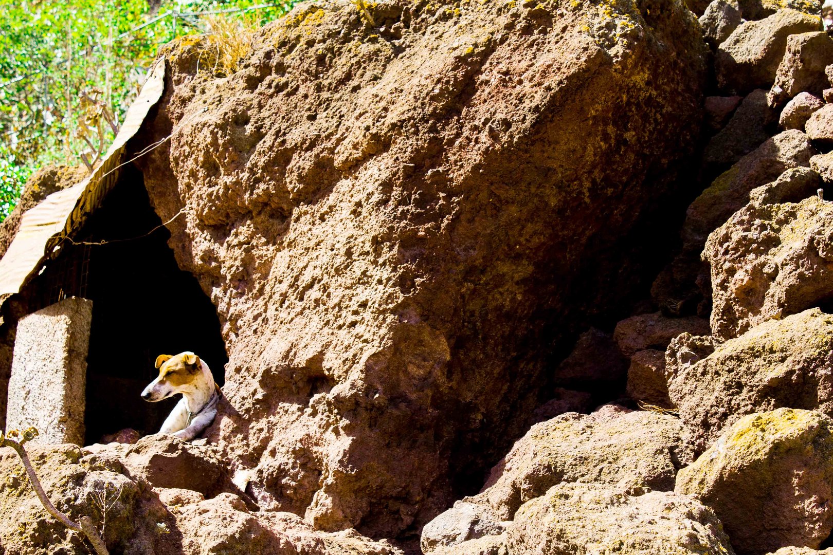 Barranco de Guayadeque - Das Höhlendorf