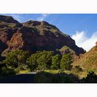 Barranco de Guayadeque II