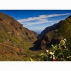 Barranco de Guayadeque III