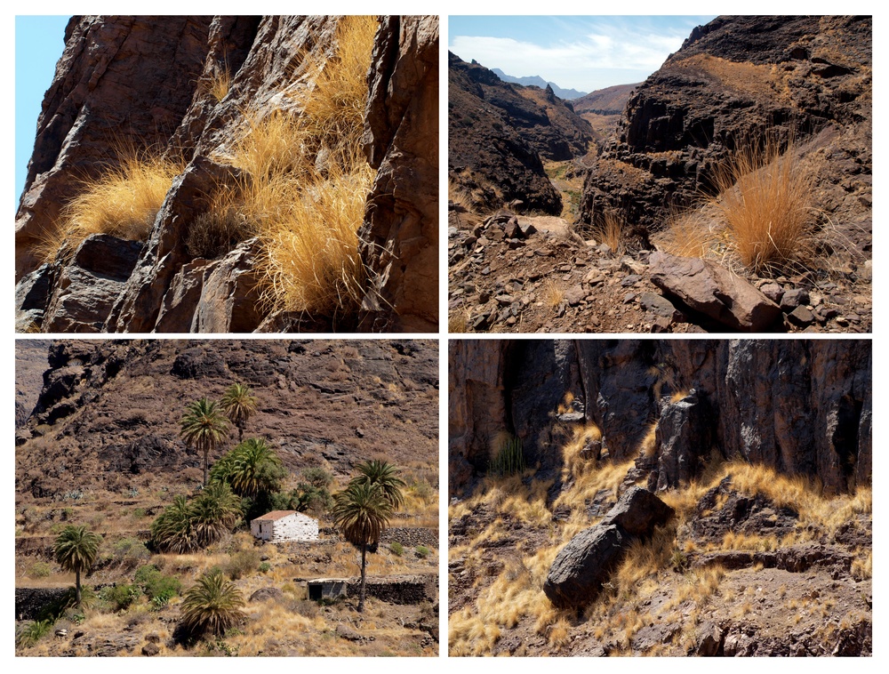 Barranco de la Aldea - Collage