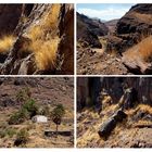 Barranco de la Aldea - Collage