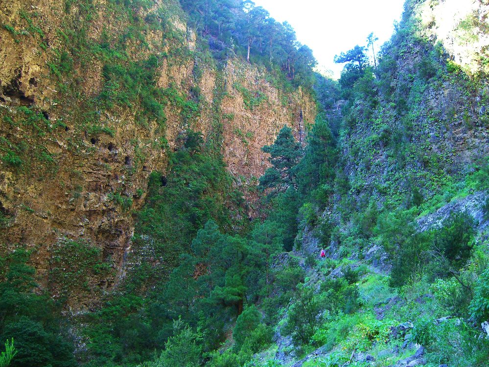 Barranco de la Madera 2