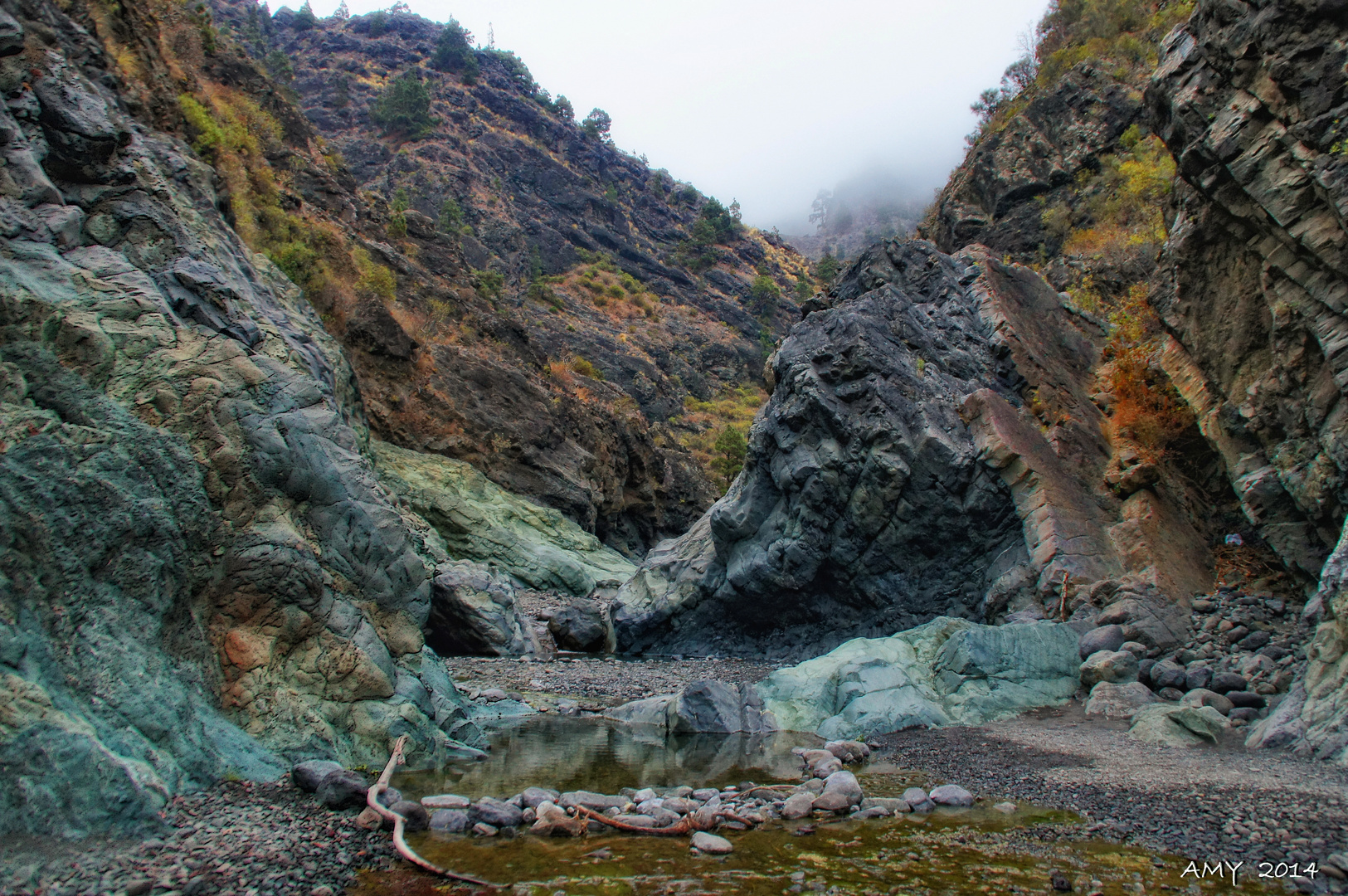 BARRANCO DE LAS ANGUSTIAS ( Reino de Aceró / LA PALMA - BENAHOARE). Dedicada a DOLORES M.