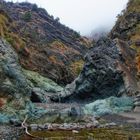 BARRANCO DE LAS ANGUSTIAS ( Reino de Aceró / LA PALMA - BENAHOARE). Dedicada a DOLORES M.