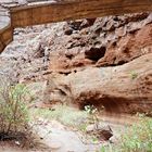 Barranco de las Vacas